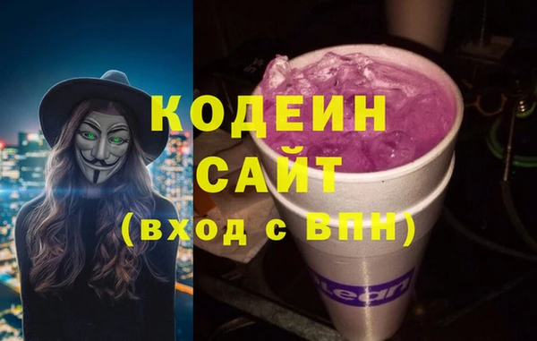 шишки Шадринск