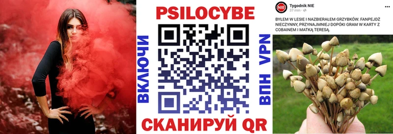 наркошоп  Никольск  Галлюциногенные грибы GOLDEN TEACHER 